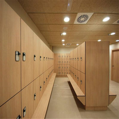 Tủ khóa phòng thay đồ HPL, Tủ khóa phòng tập thể dục trường học 12mm cửa đôi
